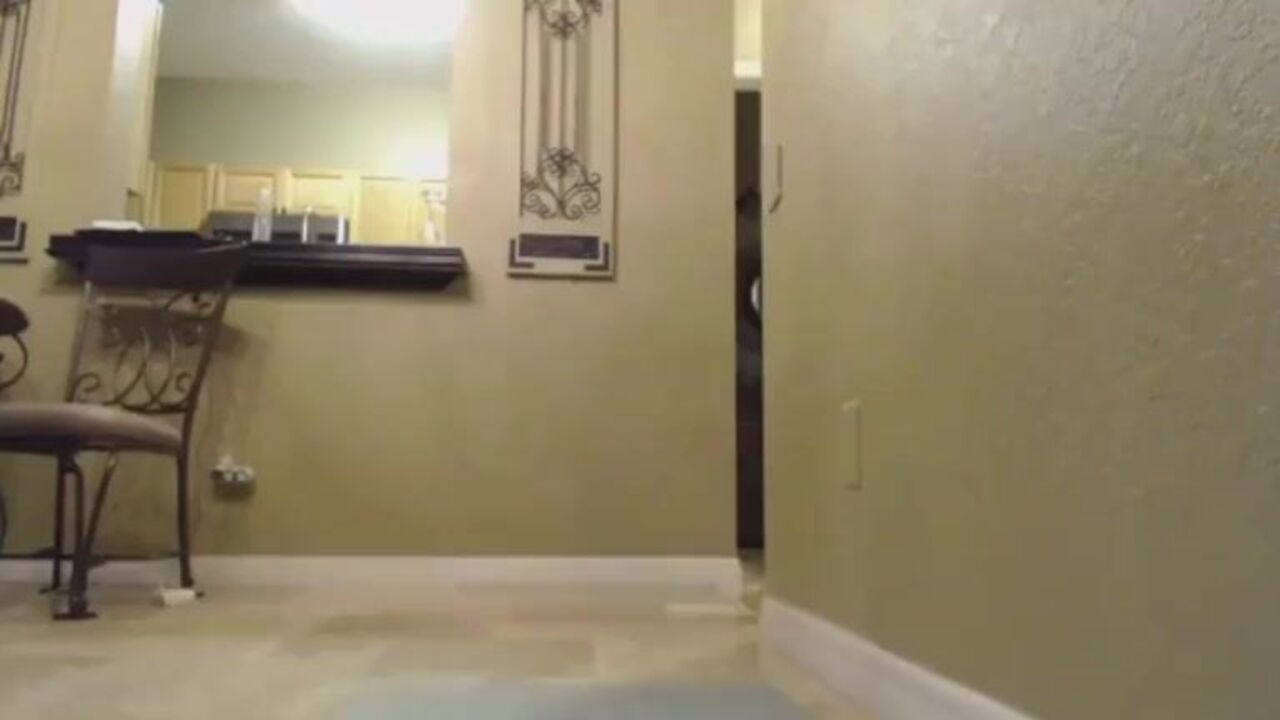 Watch Pinky's massive fart in a scat video like never before!