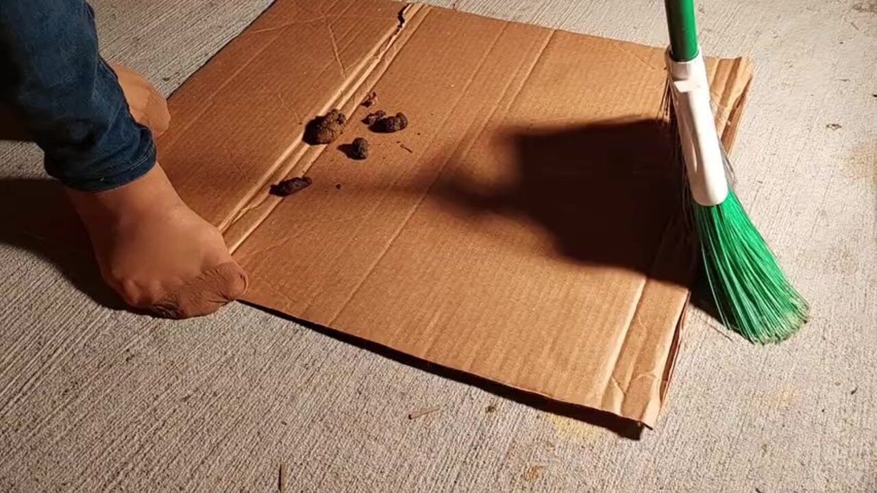 Naughty wife in pantyhose gets a thorough outdoor scat cleaning