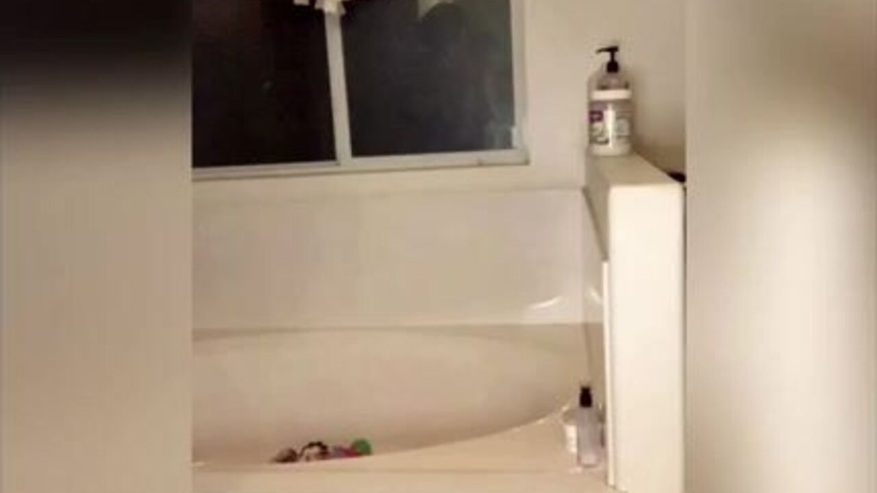 Watch these scat-loving sluts get their pussies and pussies stuffed with jizz