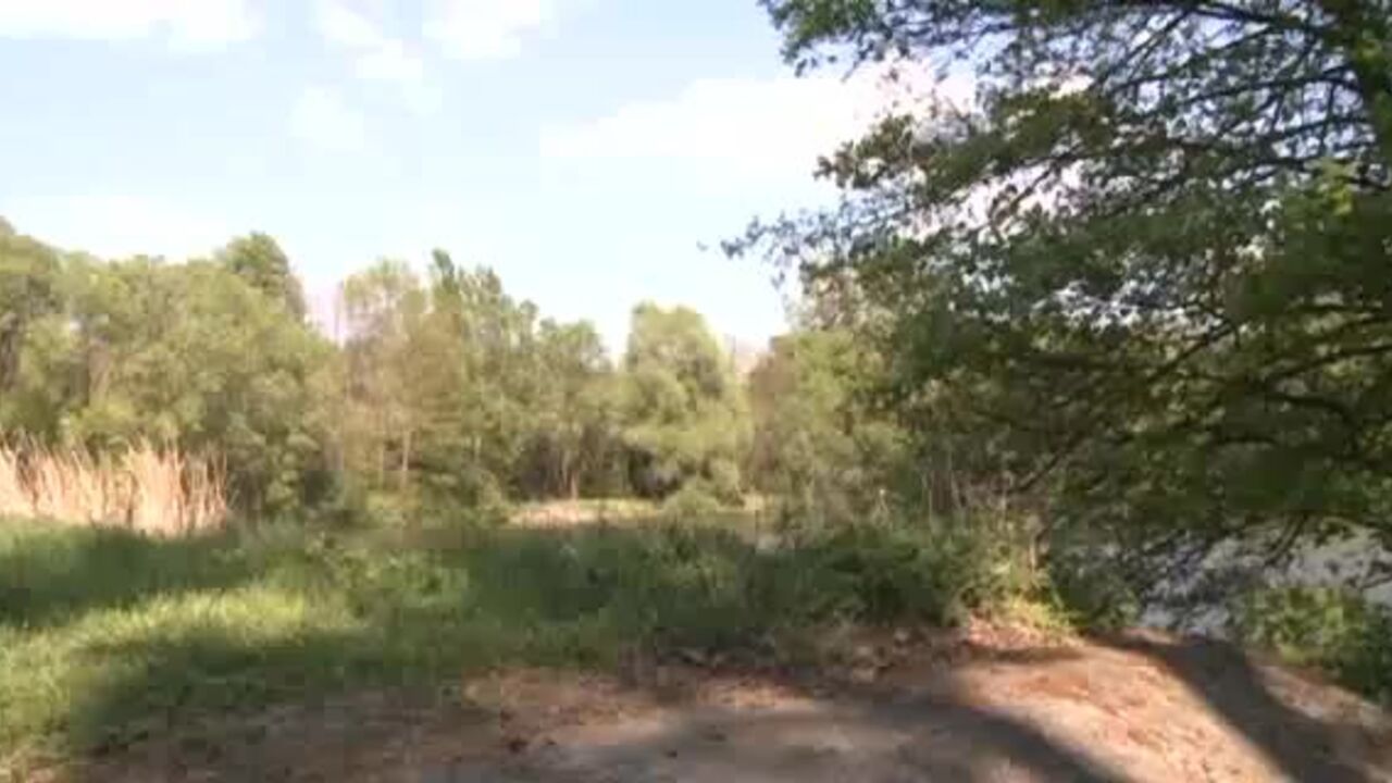 Watch this amateur babe's dirty scat session with a hung dude