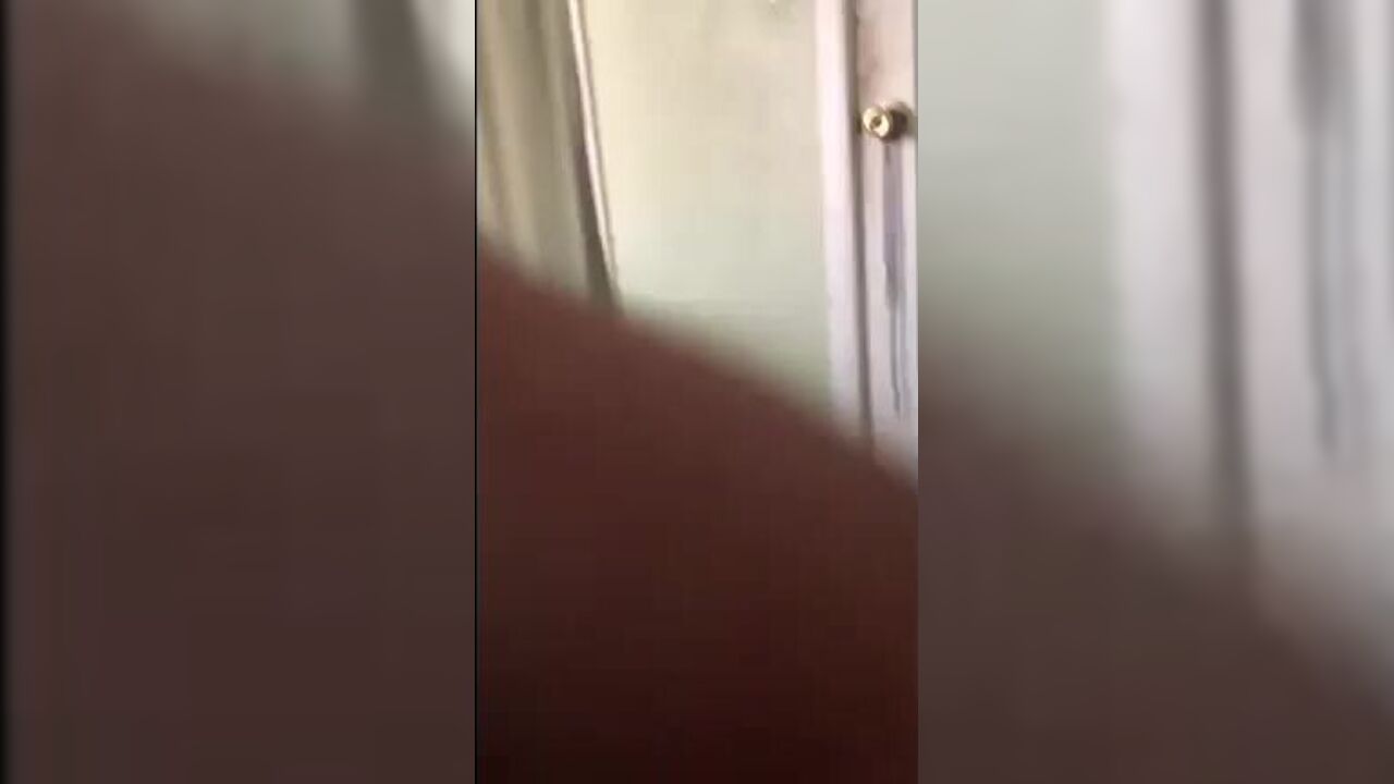 Watch this dirty girl get her scat ripped open and pounded in her next door encounter