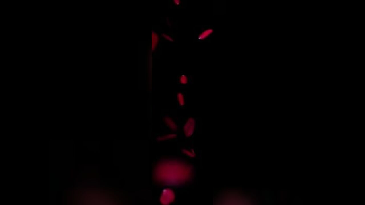 Watch this filthy ashtray spit and spew in your face