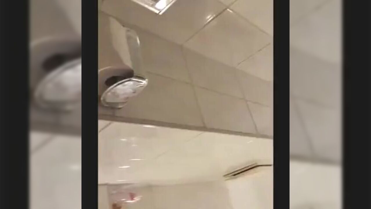 Boi Kaviar's solo scat will make you drool with delight!