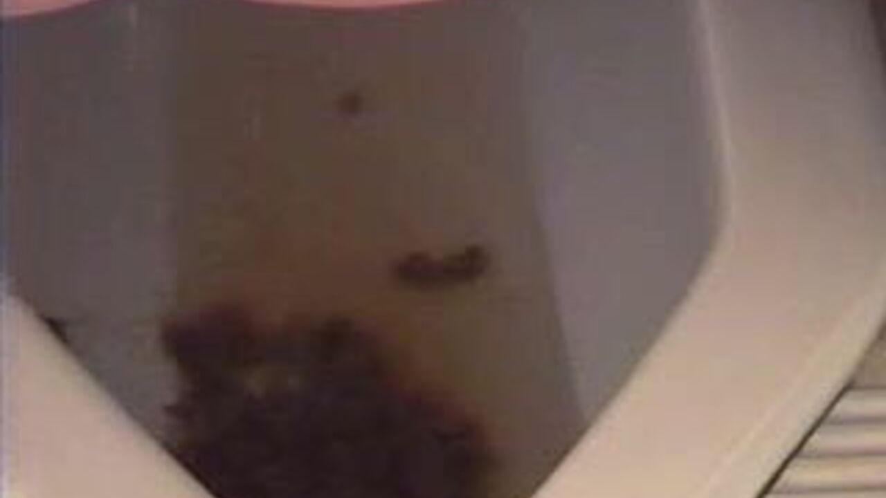 Watch this kinky porn video of a scatty slave getting drilled hard and deep