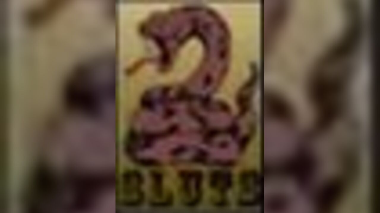 Watch these filthy sluts get their pussies stuffed with scat and scat porn