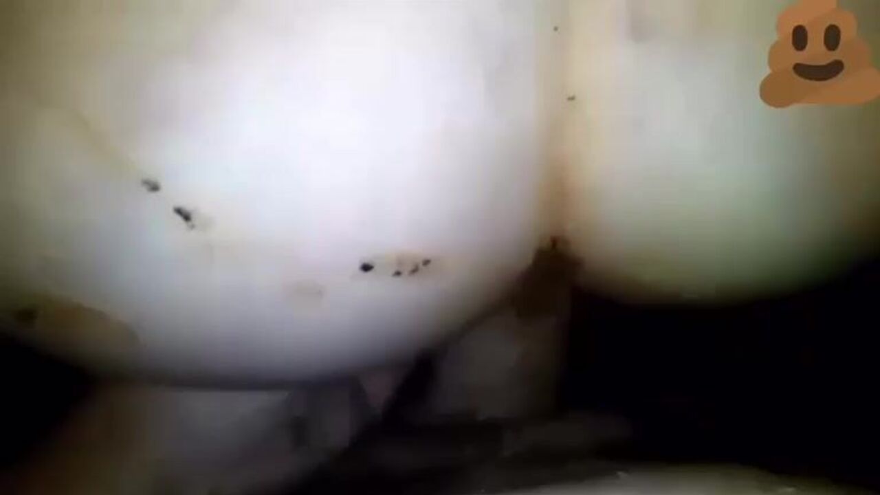 Watch this dirty couple scat and share their scat porn with other couples in a scat compilation