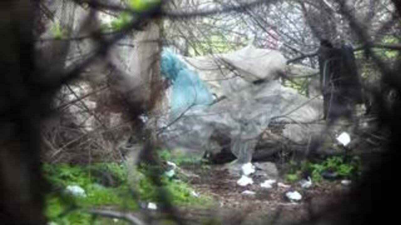 Get up close and personal with a scat-covered voyeur in Pooped Voyeur 3