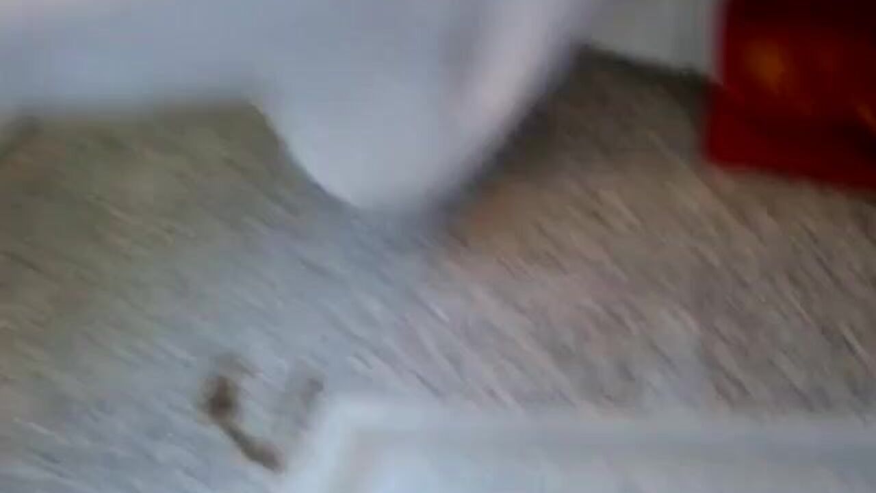 Watch this filthy slut get her scat pounded hard in this scat porn video