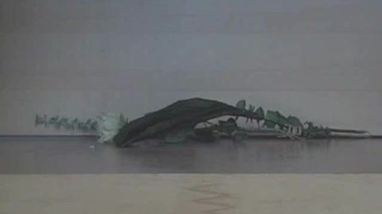 Watch a filthy slut scat & get dominated in a wild hum video