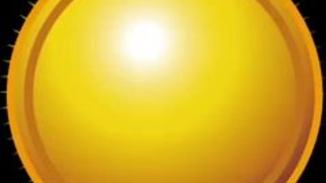 Get ready to watch a scatty slut getting drilled in a variety of positions!