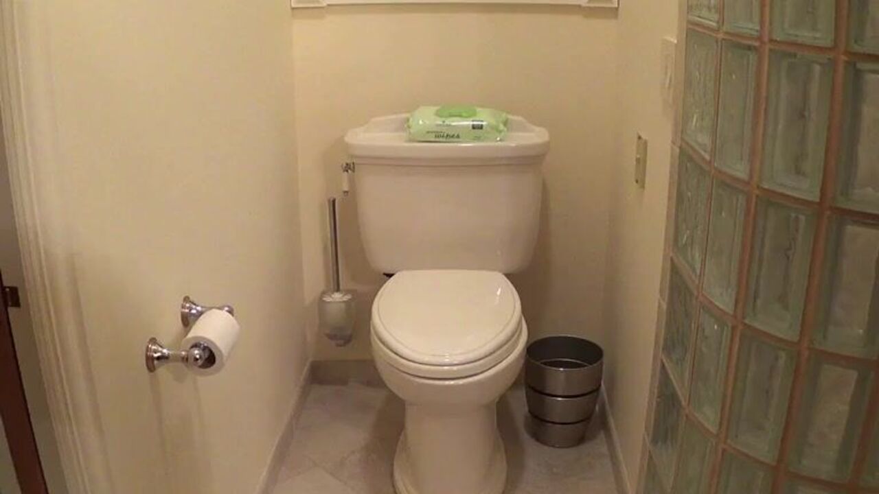 Ericas' Shit Diary: The ultimate scat diary of a pathetic slave