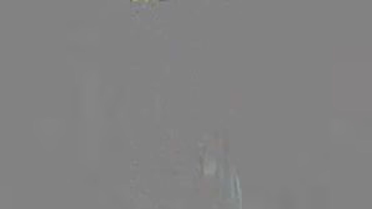 Watch as these filthy sluts get their pussies drilled hard in scat porn videos