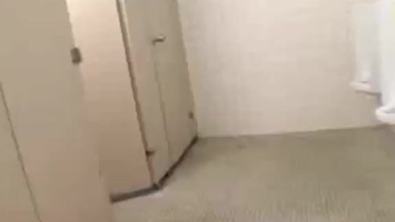 Watch these kinky Japanese sluts get their scats drenched in semen