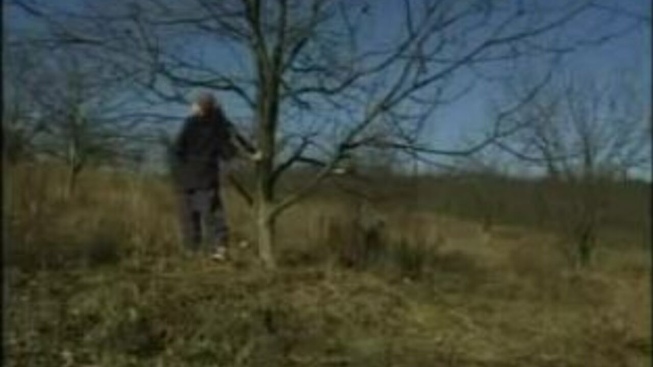 Watch this filthy slut scat and defecate from her tree like a pro!