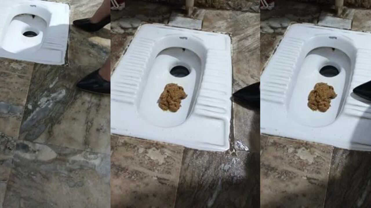 Ala turc gets her scat scatted and her ass pounded hard