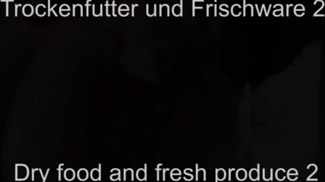 Watch scat-drenched babes get off on fresh vegetables and fresh piss