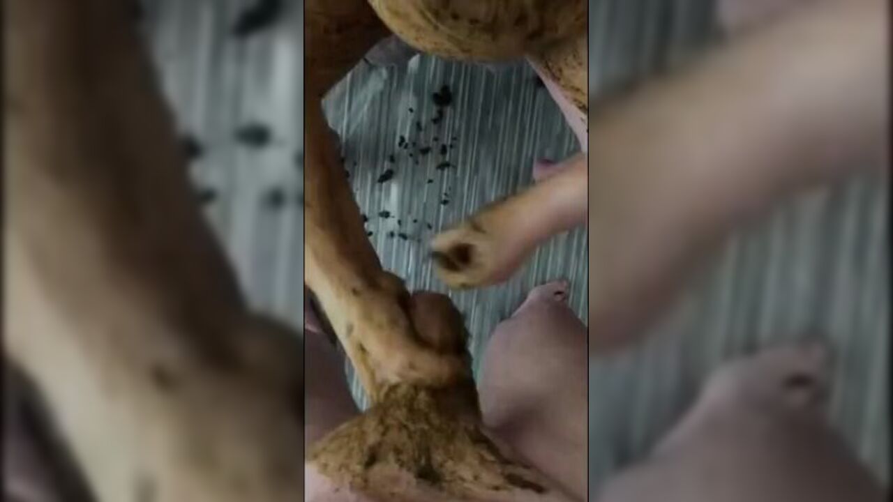 Watch this BBW slut get her scat pounded with a hard BJ