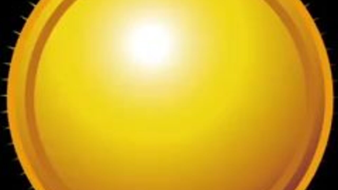 Watch these filthy scat videos featuring girls getting off in a variety of ways