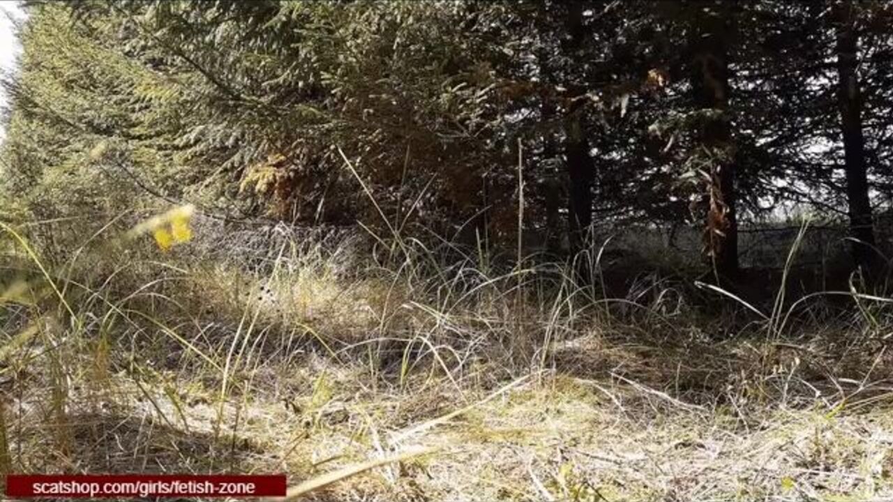 JessicaShiteater's Woods_1 - A scat porn compilation of slaves getting drilled hard