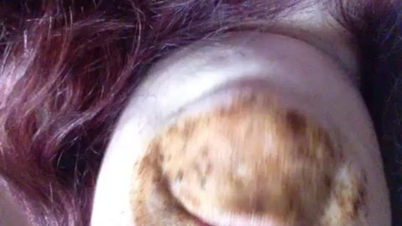 Watch this dirty slut scat and get drilled in various positions