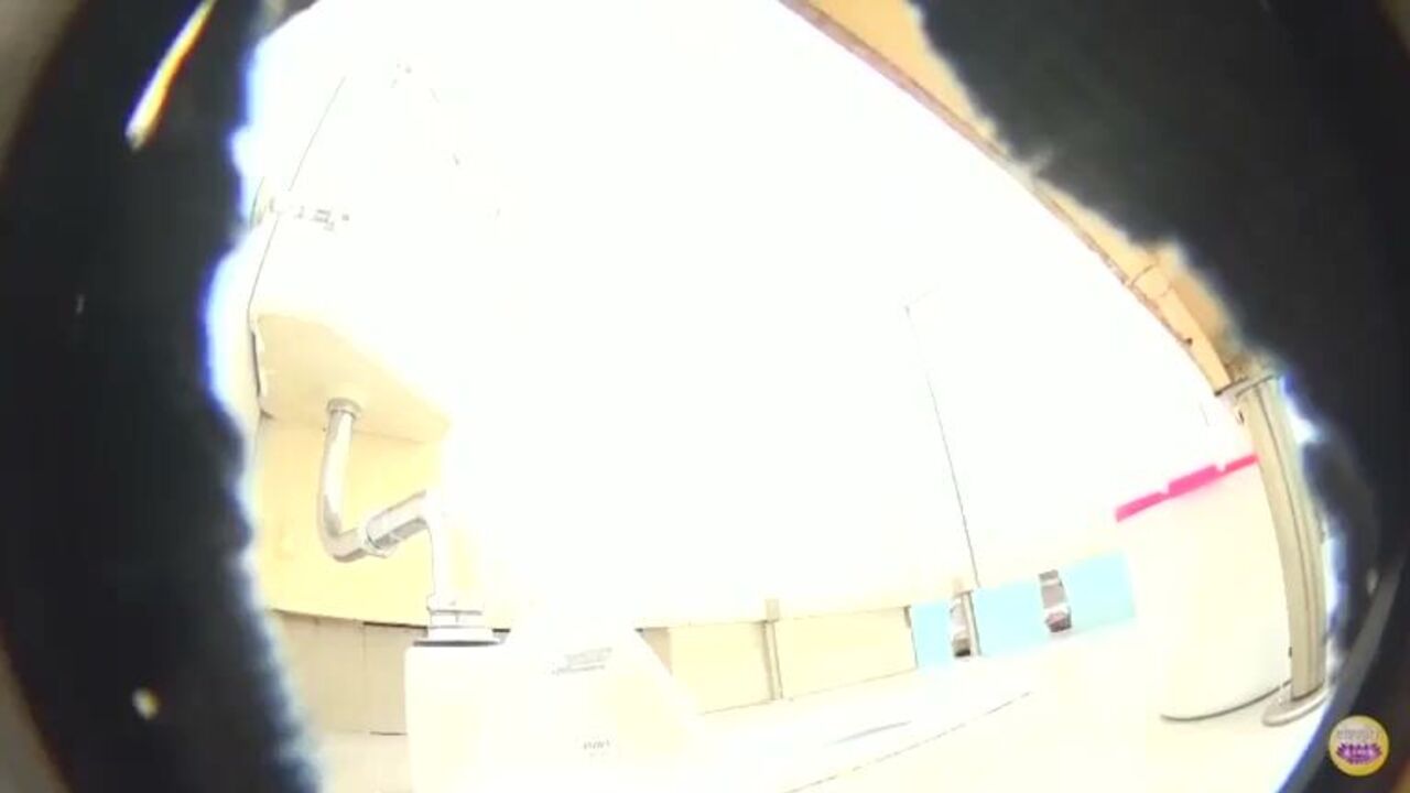 Watch these scat-drenched sluts in a wild scat video