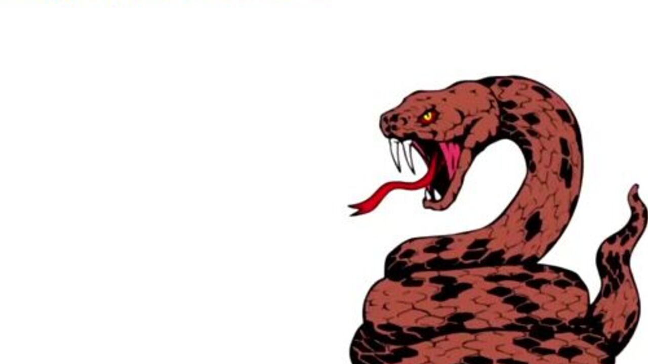 Watch these filthy scat videos featuring women getting their pussies and butts rammed hard in this scat porn video