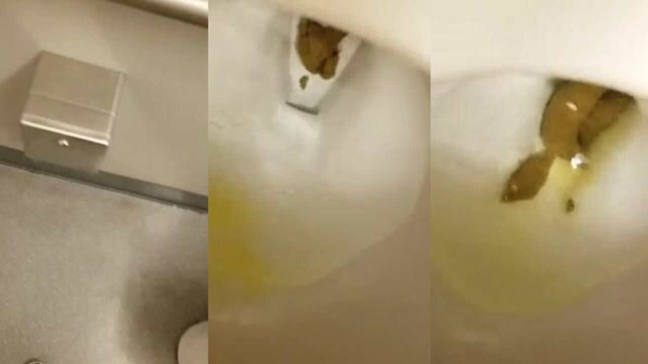 Watch this kinky slut get her scat stuffed with hard cock in a variety of different positions!