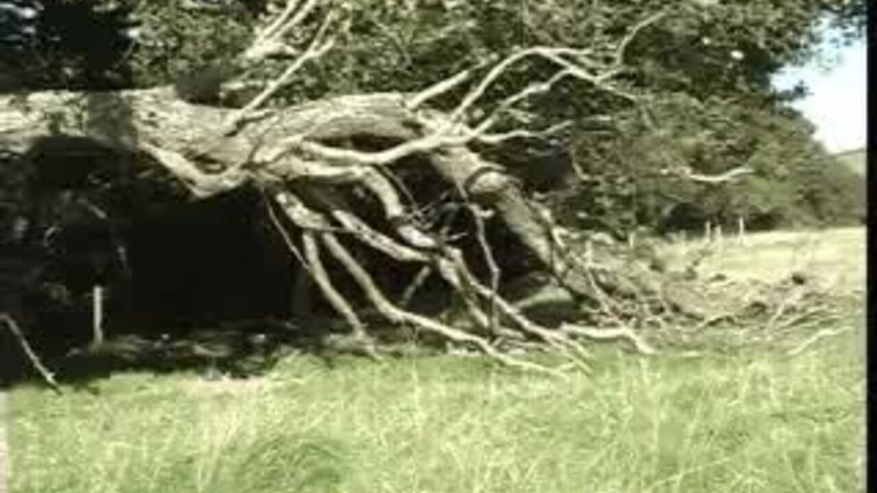 Lucy Country joins the scat party with her pooped-out pussy and her favorite toys