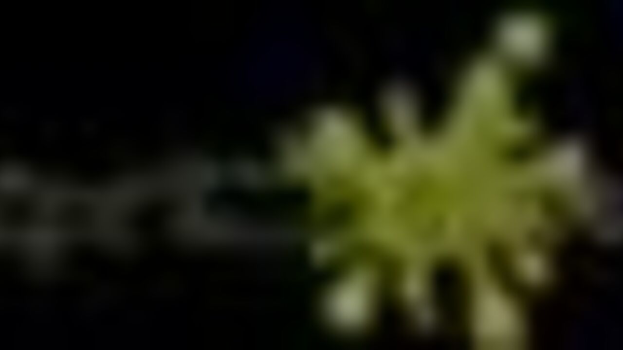 Kitchen slut gets her ass reamed with a big load