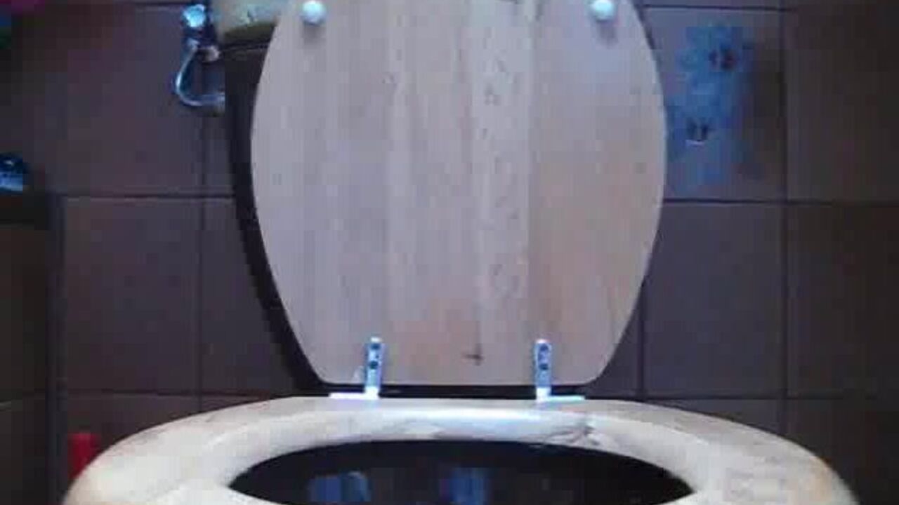 Watch this filthy scat porn video featuring a scatty slave getting her ass and pussy pumped and shitting like a pro