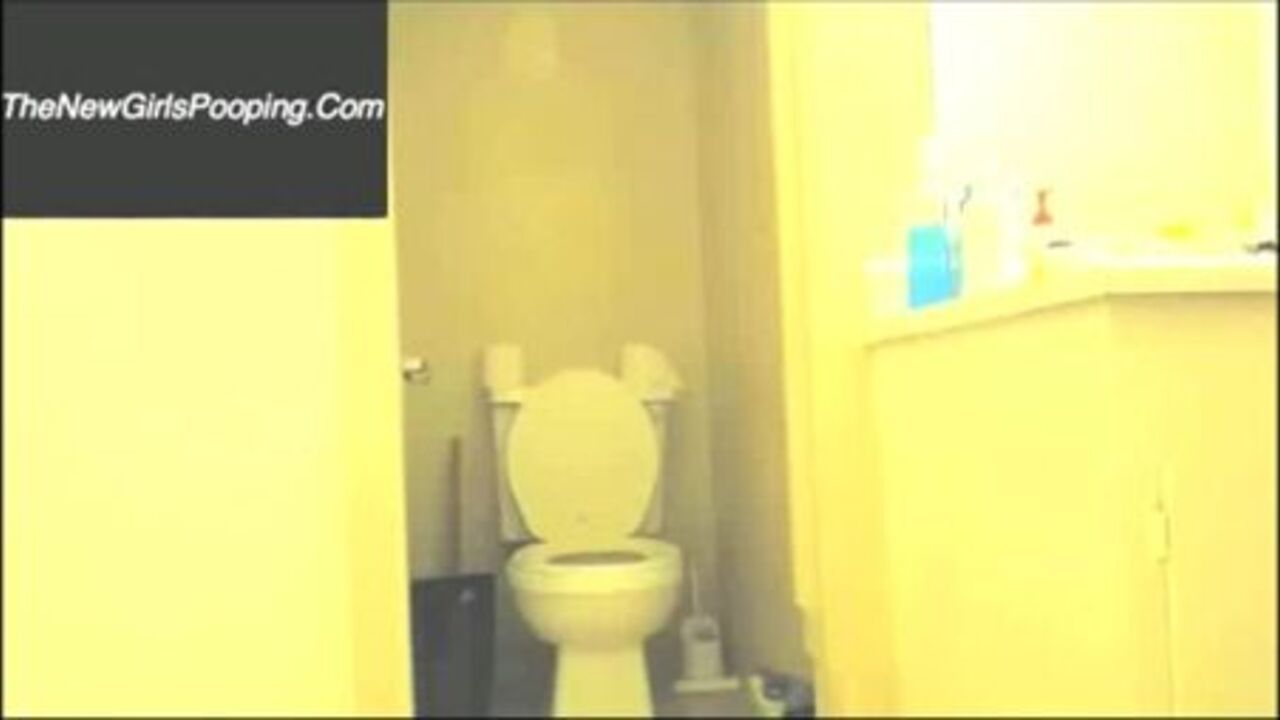 Watch these filthy scat girls get off with toilet sex