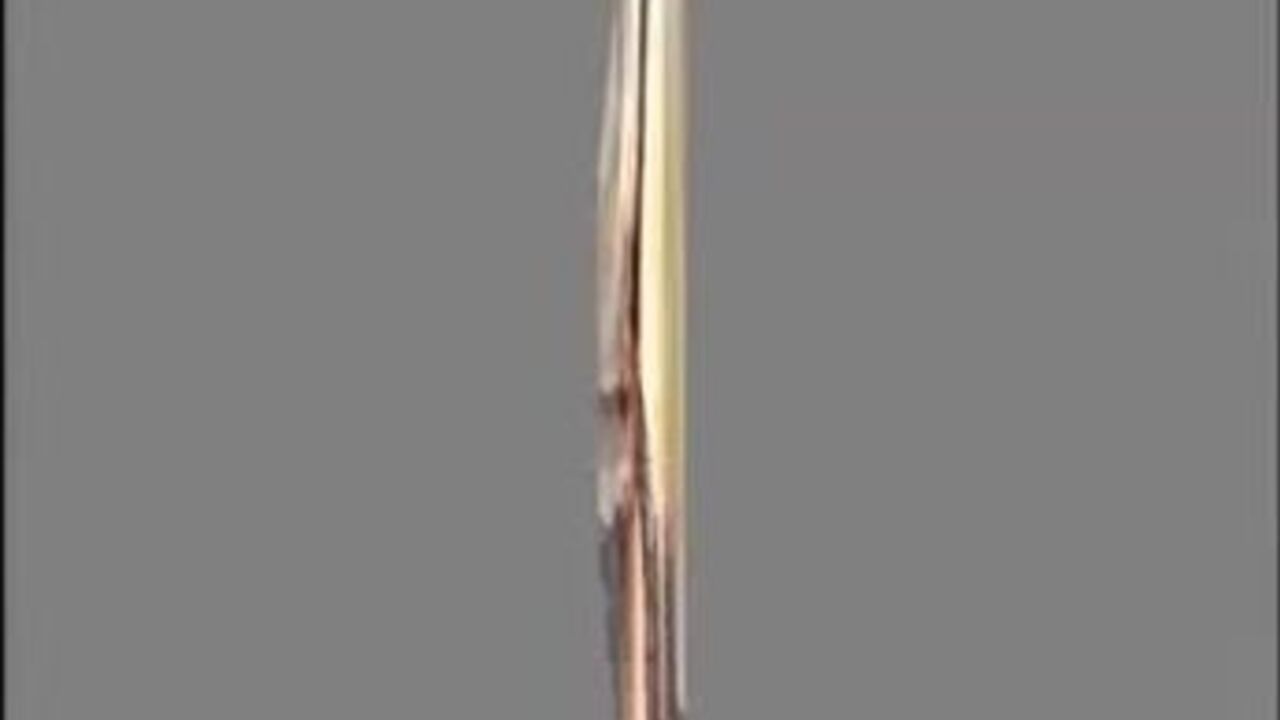 Watch this filthy porn video featuring a scat slave getting off with some kinky action