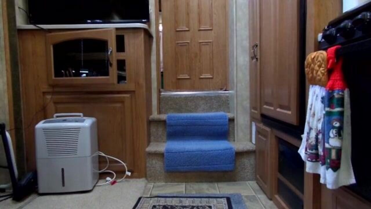 Michelle Short's short scat video will make you gag