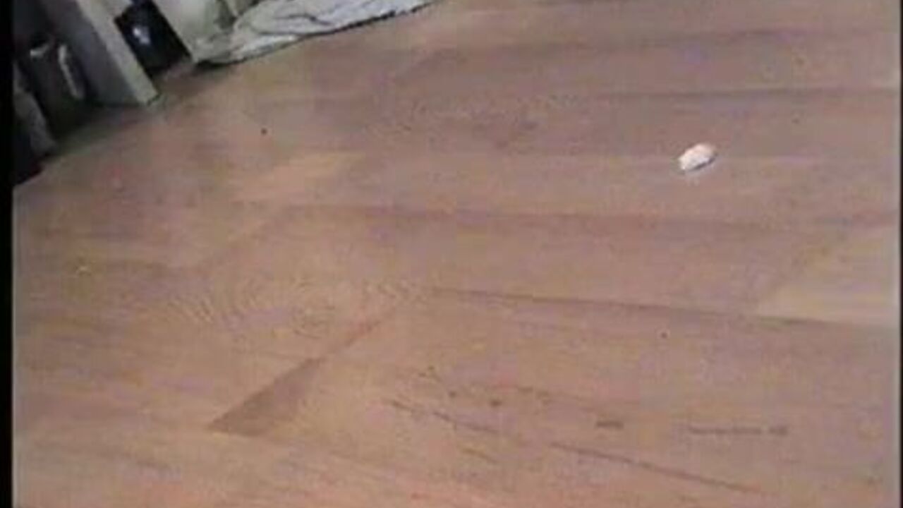 Watch this amateur slut get filthy while smearing her own scat in this hot porn video