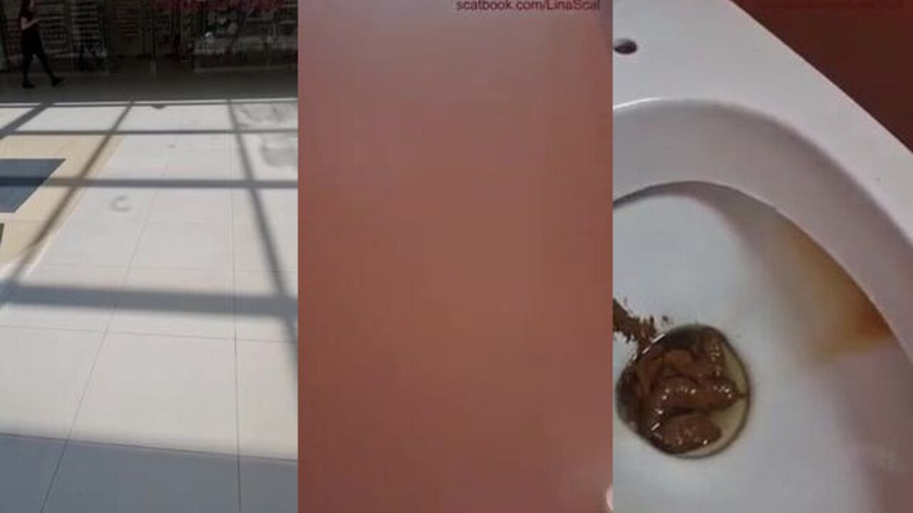 Watch this kinky slut get her scat pounded in public toilet