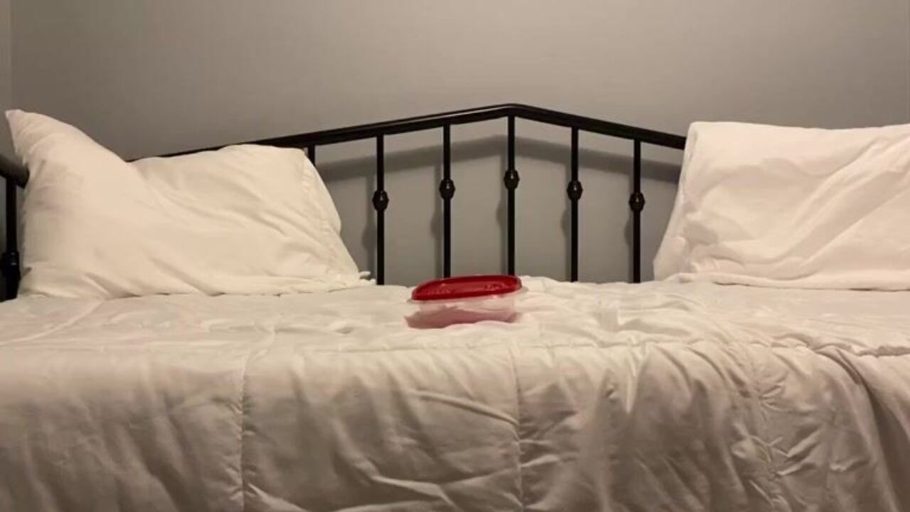 Watch these filthy sluts scat and take it like a champ in this scat porn video