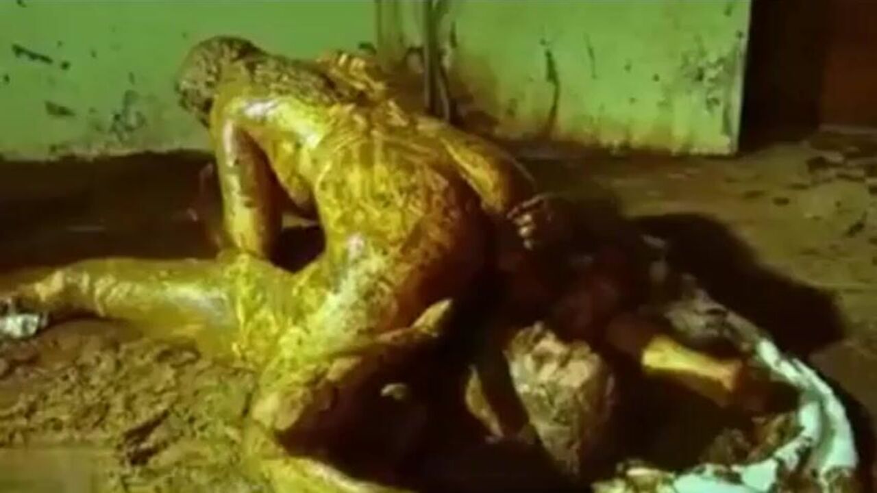 Get ready to be fucked hard with this filthy scat porn