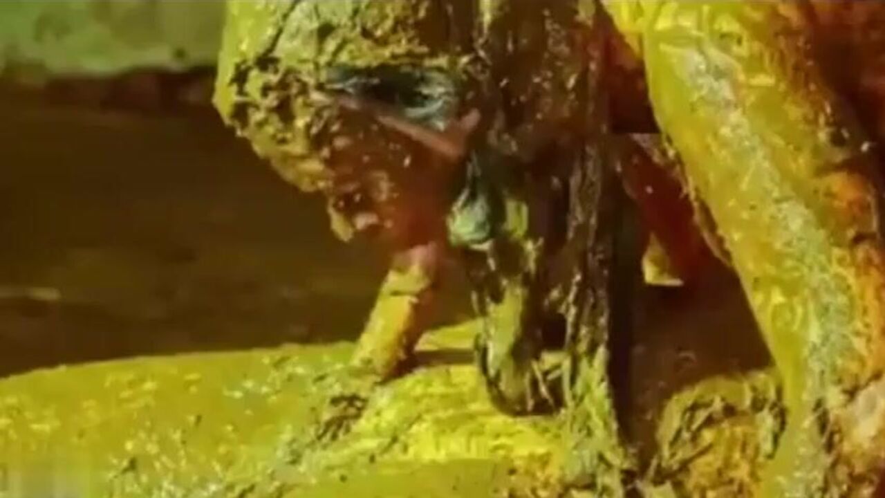 Get ready for a wild and filthy scat session with this hot babe