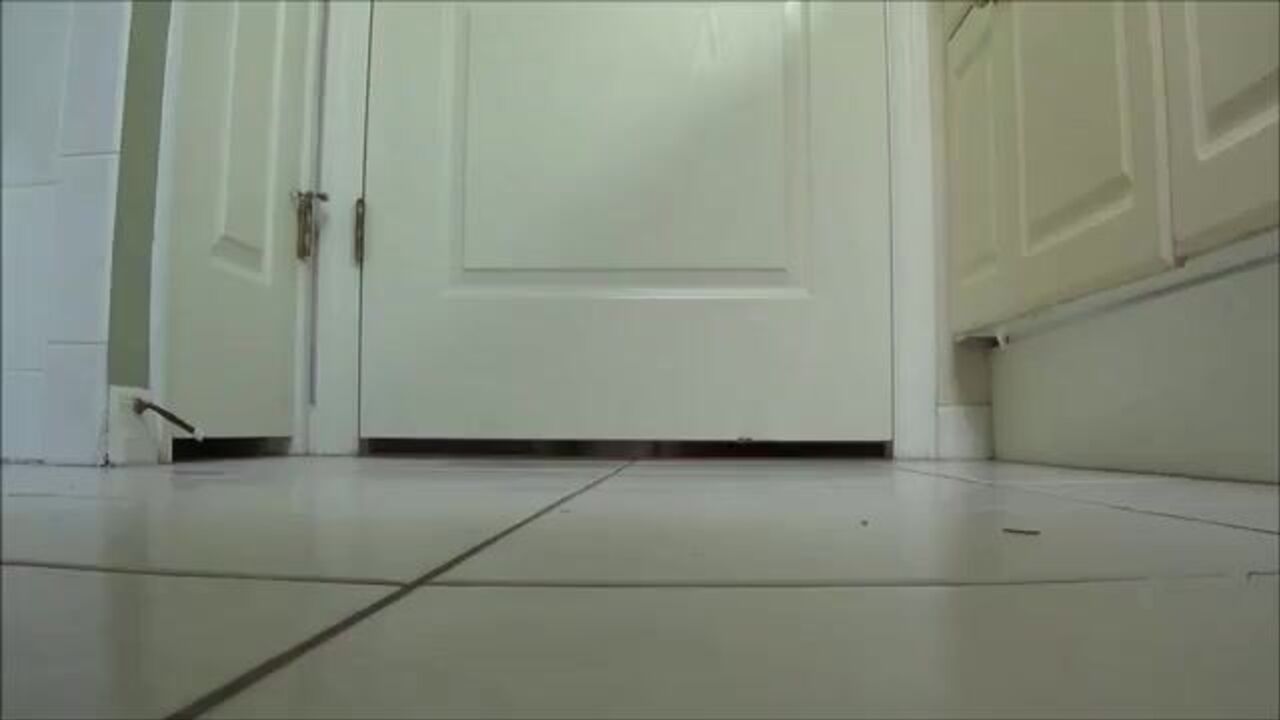 Watch these filthy videos of scat-loving sluts getting their butts pumped and faces covered