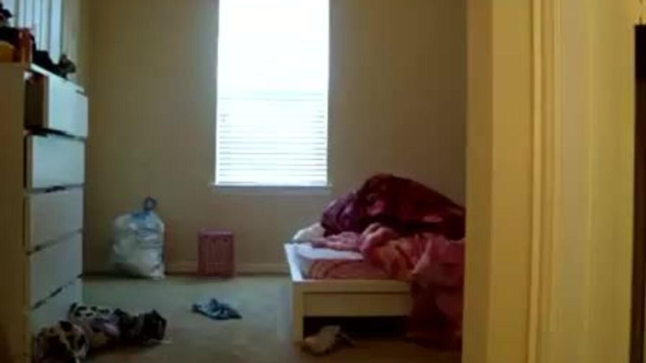 Watch this hot stripper shake her booty and twerk like a pro on video