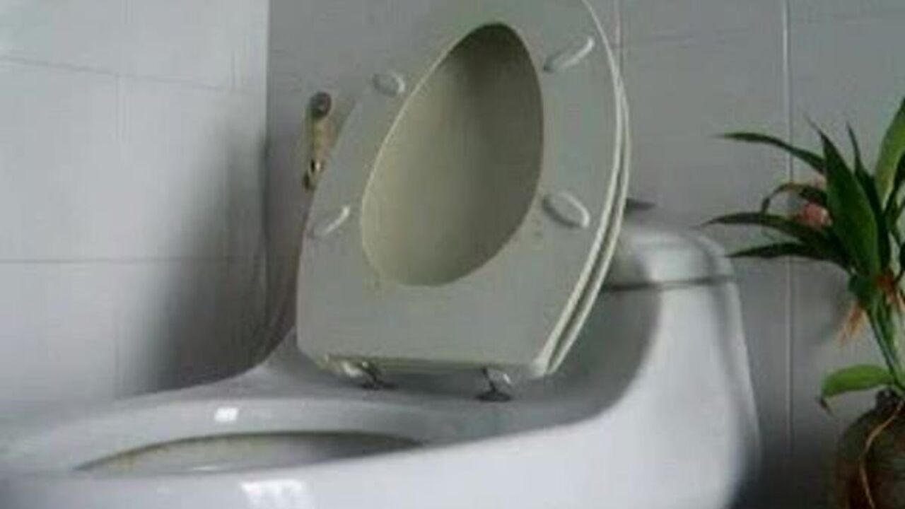 Watch this filthy slut get her scat wet and dirty in a wild poop video