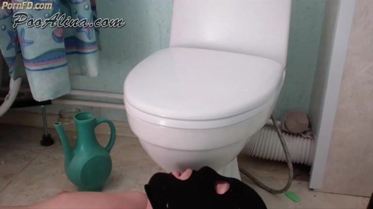 Alina's delicious toilet slave gets a hardcore scat pounding