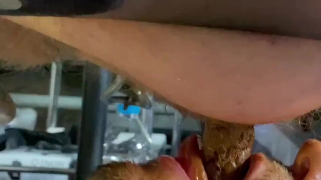 Watch this hot piggy get down and dirty in scat porn and pissing frenzy