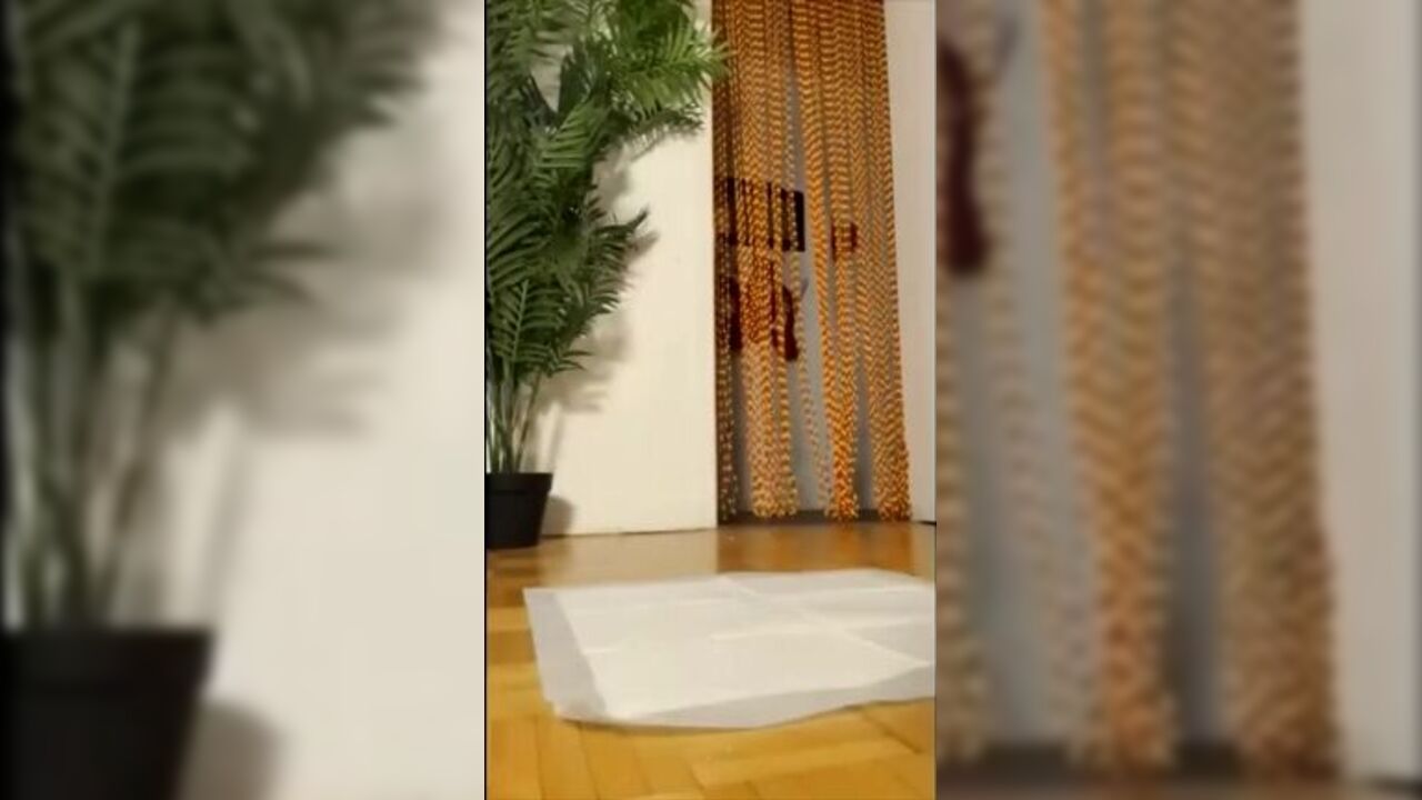 Watch as these kinky scat girls get more than just a foot fetish, they're obsessed with poop porn and scat sex