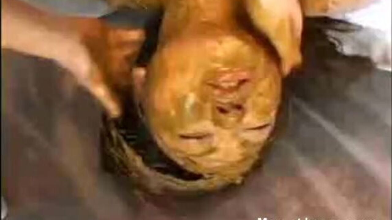 Watch these scat babes get their butts drilled in a variety of ways - scat, pissed, and skat