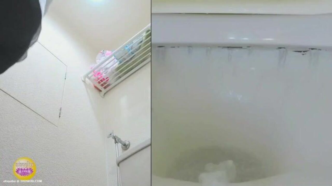 Krystar, the scat porn goddess, enjoys getting her pussy and ass pounded hard in Japanese sex video