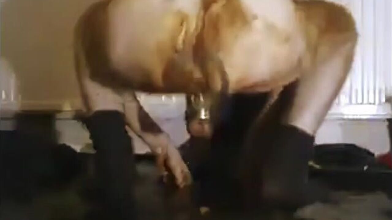 Watch this kinky scat porn video of a dude eating his own filth