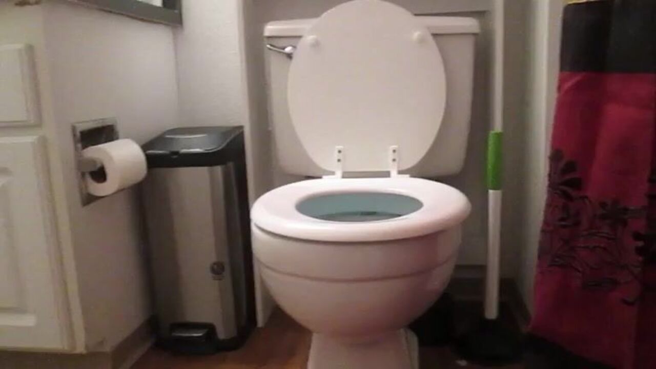 Blonde slut gets her toilet pumped and her scat pumped full of crap