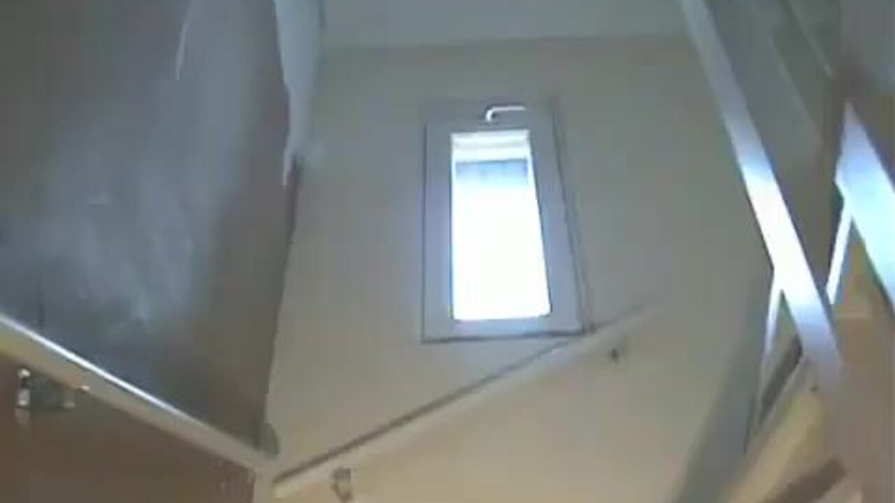 Watch this filthy scat video of a scat slave getting drilled by a doggy style