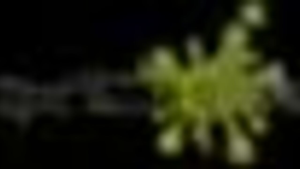 Dirty girlfriend gets her ass fucked and fed with scat